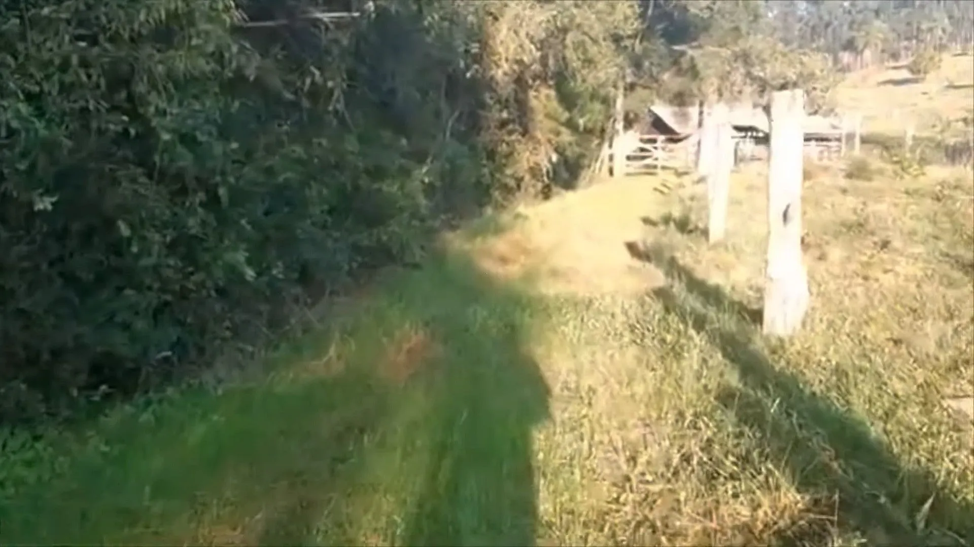 Sítio à venda de 9 ha em Caraá, RS, Brasil