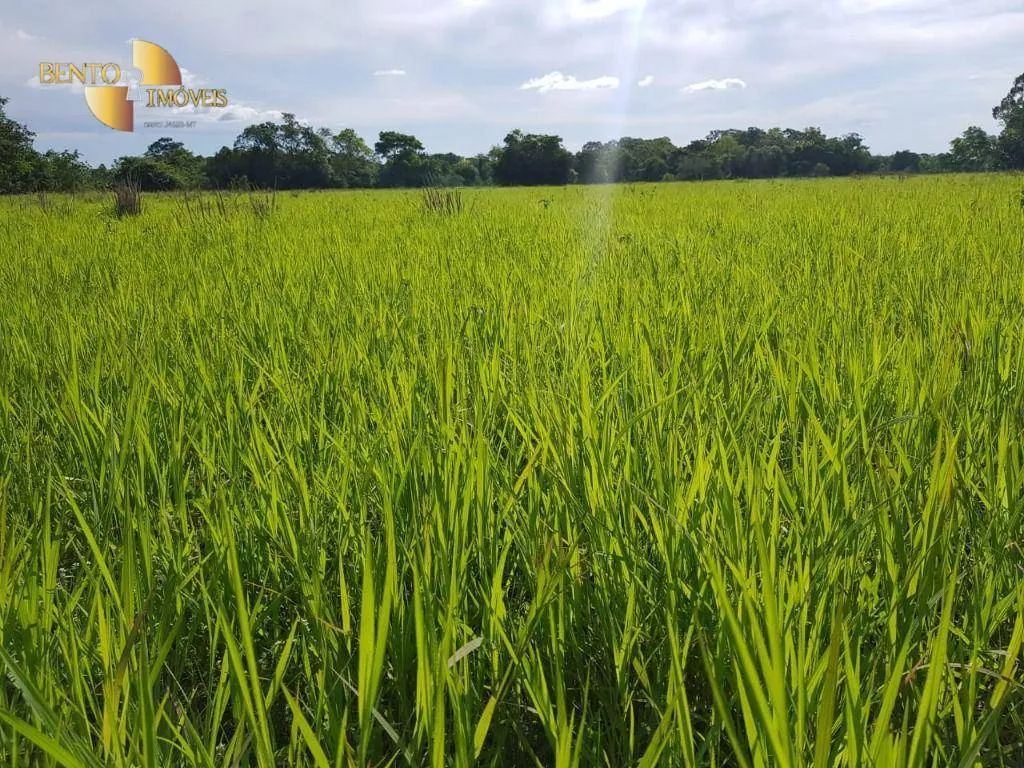 Chácara à venda de 3.800 m² em Cuiabá, MT, Brasil