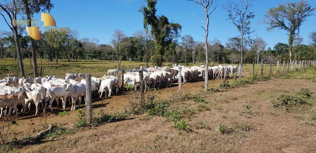 Chácara à venda de 3.800 m² em Cuiabá, MT, Brasil