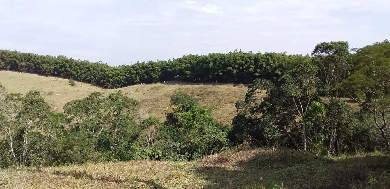 Small farm for sale of 24 acres in São José dos Campos, SP, Brazil