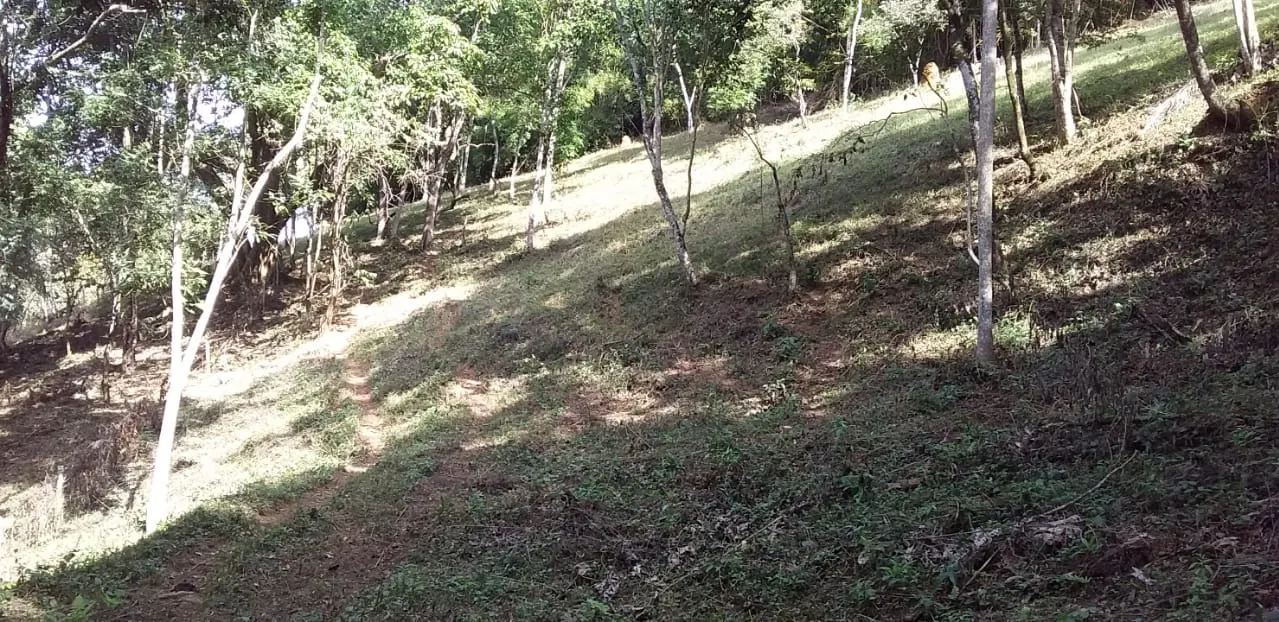 Small farm for sale of 24 acres in São José dos Campos, SP, Brazil