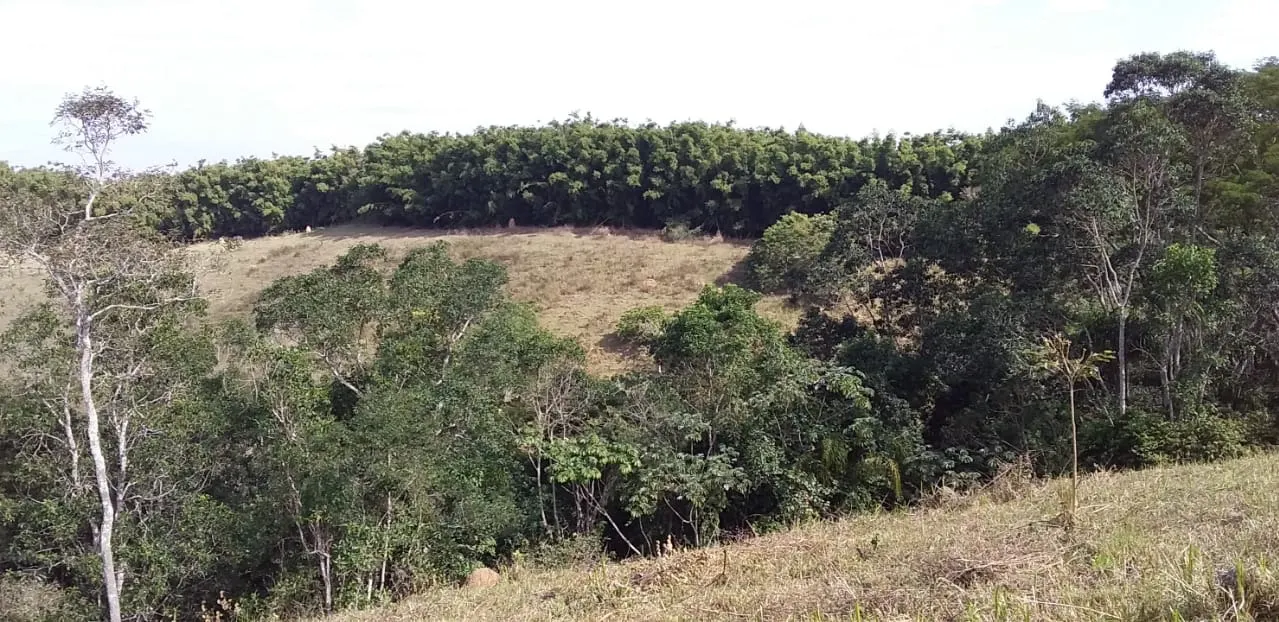 Small farm for sale of 24 acres in São José dos Campos, SP, Brazil