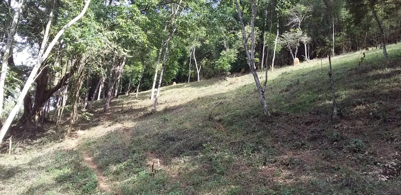 Small farm for sale of 24 acres in São José dos Campos, SP, Brazil