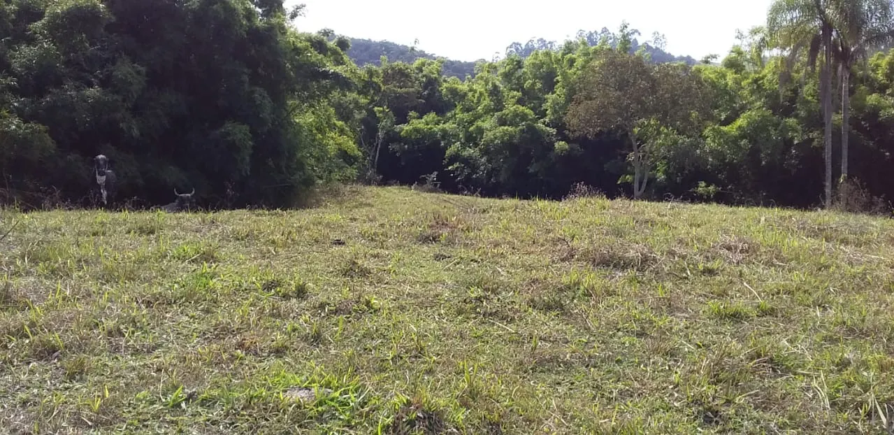 Small farm for sale of 24 acres in São José dos Campos, SP, Brazil