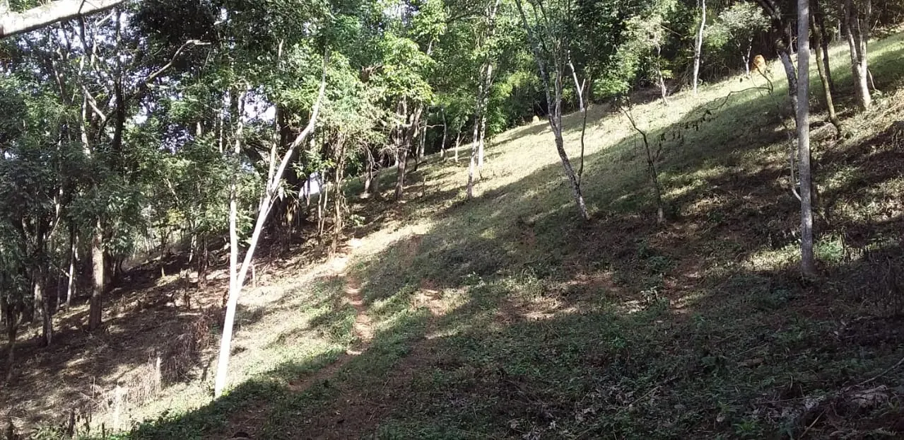 Small farm for sale of 24 acres in São José dos Campos, SP, Brazil
