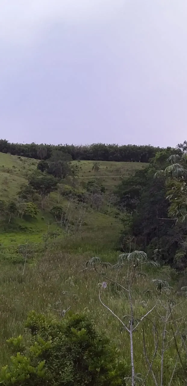 Small farm for sale of 24 acres in São José dos Campos, SP, Brazil