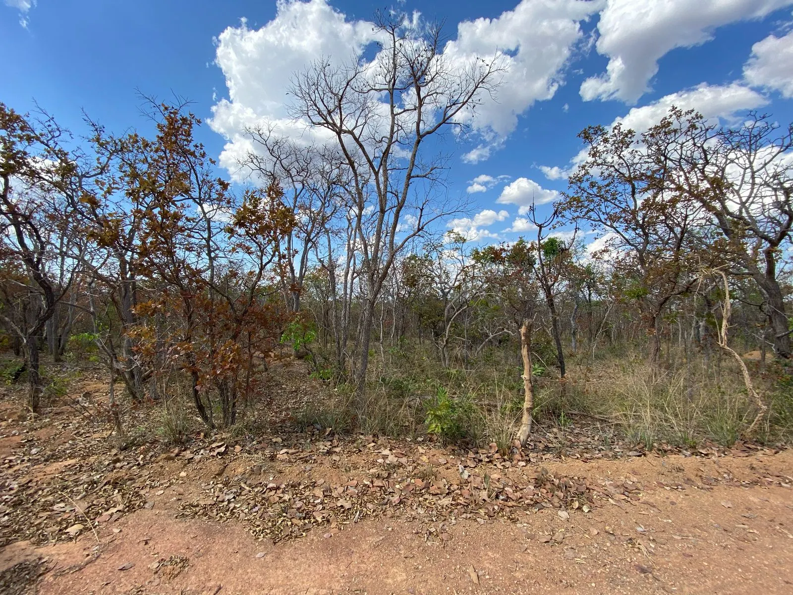 Plot for sale of 20 acres in Corinto, MG, Brazil