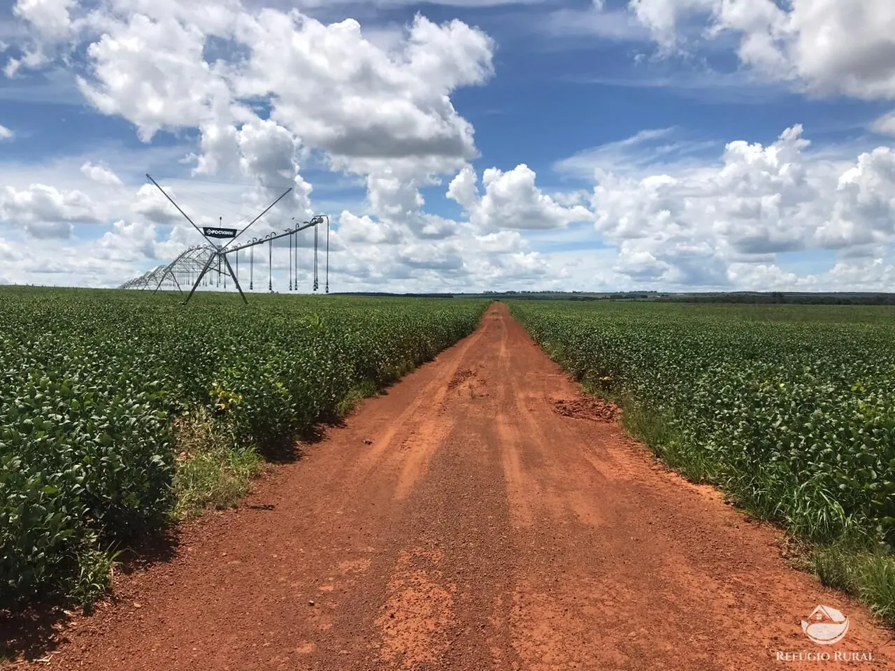 Farm for sale of 5,486 acres in Ipameri, GO, Brazil