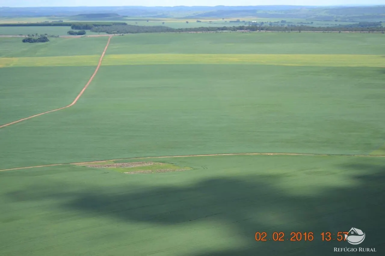 Farm for sale of 5,486 acres in Ipameri, GO, Brazil