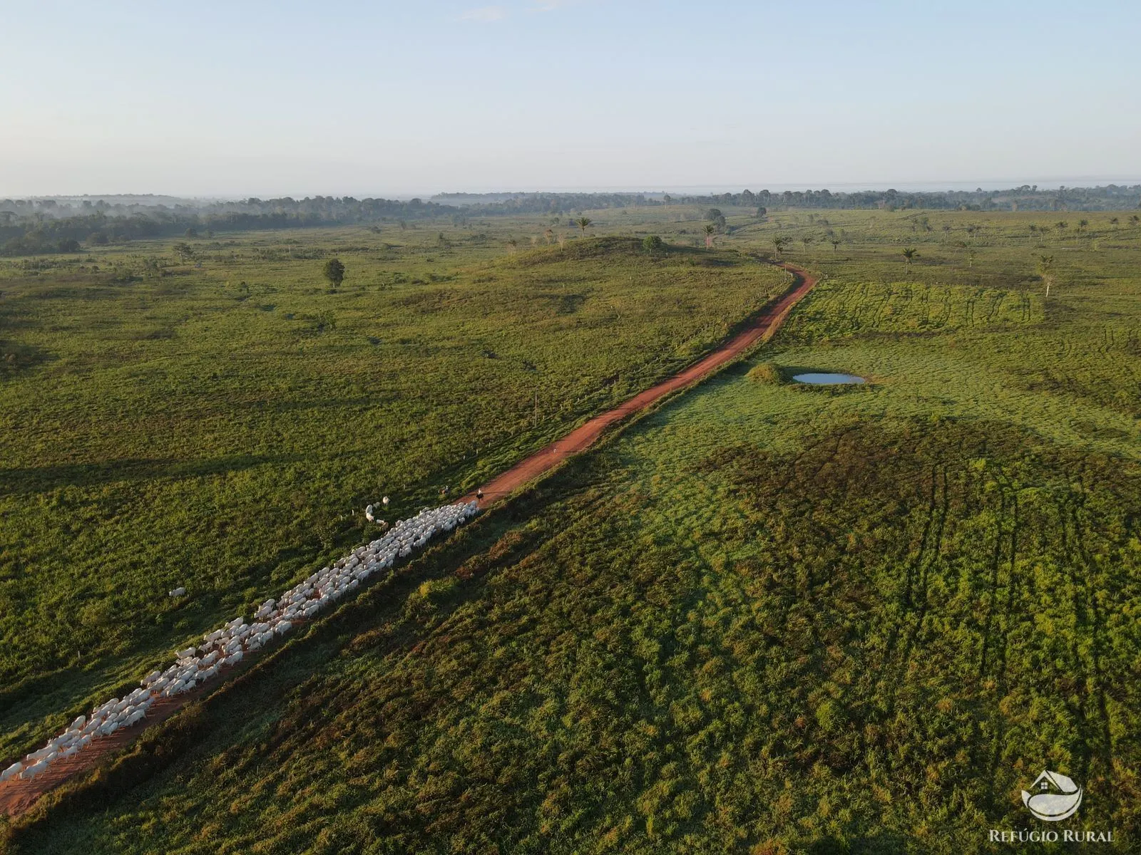 Farm for sale of 7,166 acres in Itaituba, PA, Brazil