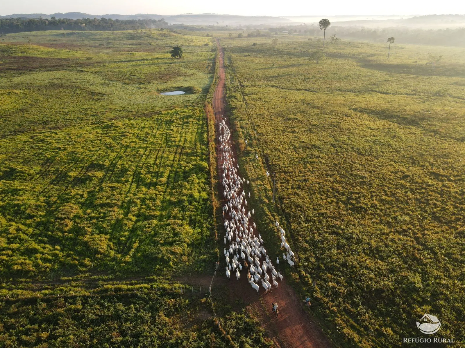 Fazenda à venda de 2.900 ha em Itaituba, PA, Brasil