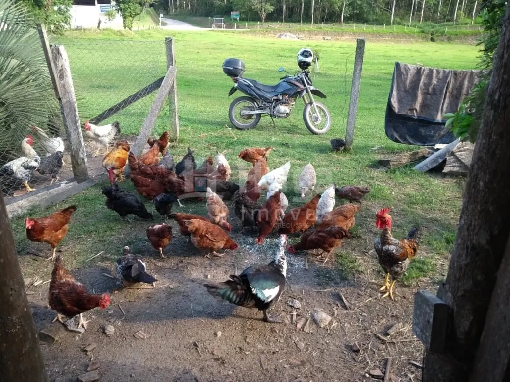 Fazenda à venda de 6.309 m² em Gaspar, SC, Brasil