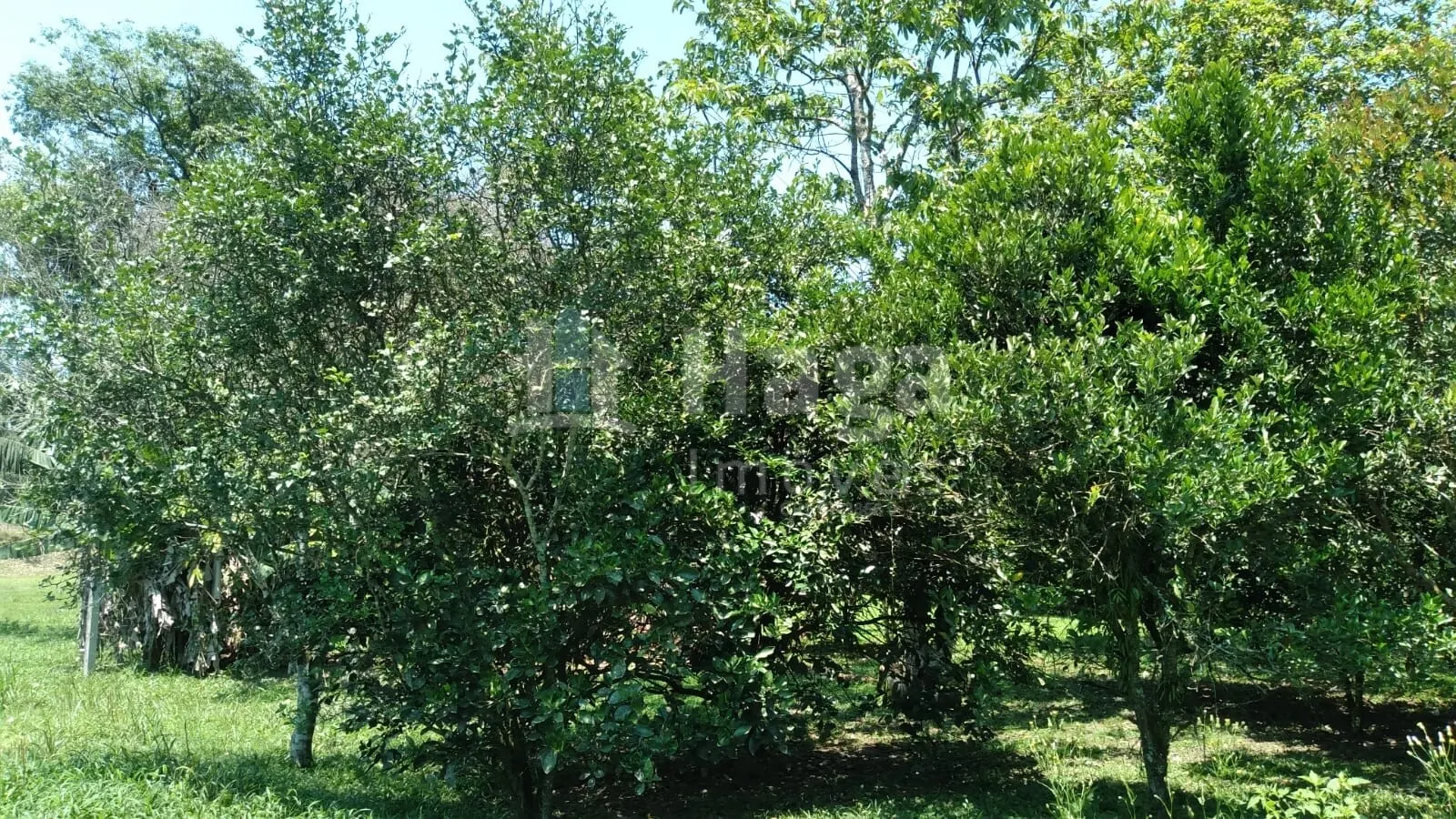 Fazenda à venda de 6.309 m² em Gaspar, SC, Brasil