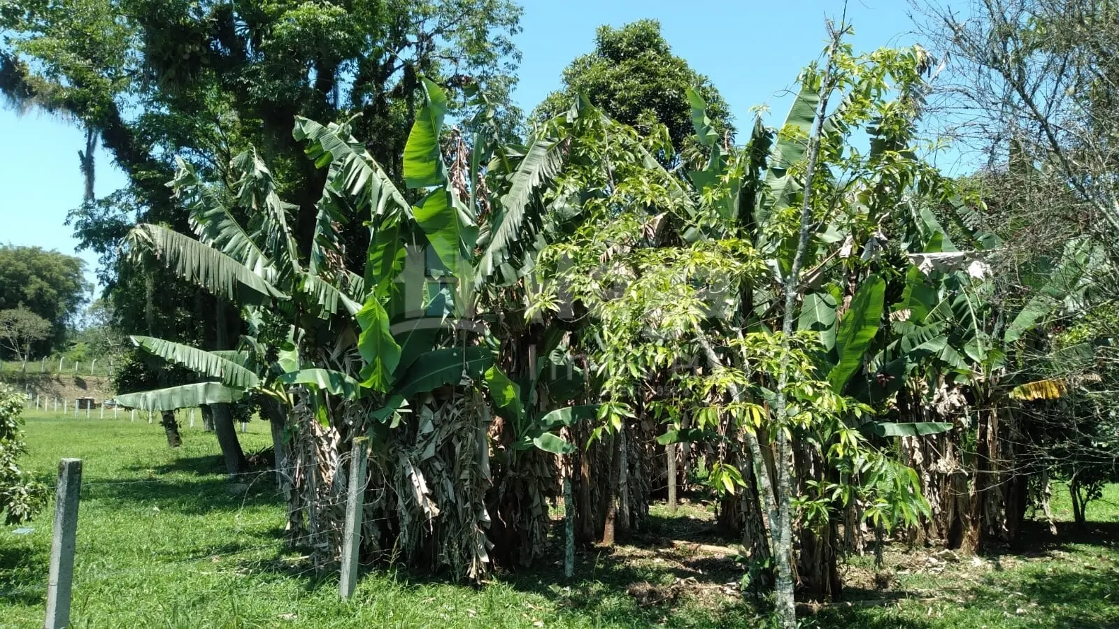 Fazenda à venda de 6.309 m² em Gaspar, SC, Brasil
