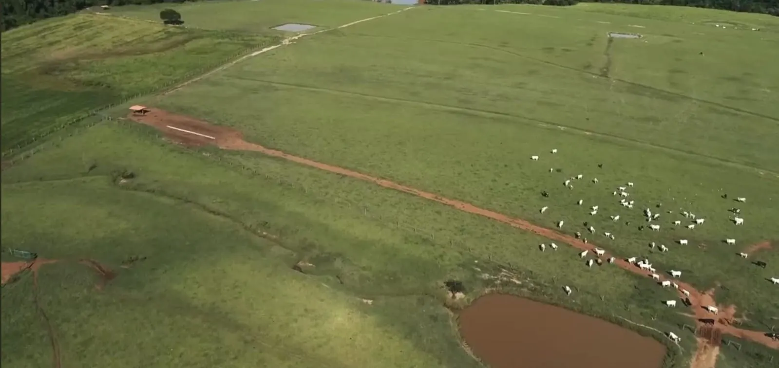Fazenda à venda de 142 ha em Laranjal Paulista, SP, Brasil