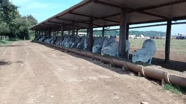 Fazenda à venda de 142 ha em Laranjal Paulista, SP, Brasil