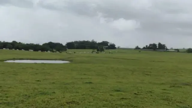 Fazenda à venda de 142 ha em Laranjal Paulista, SP, Brasil