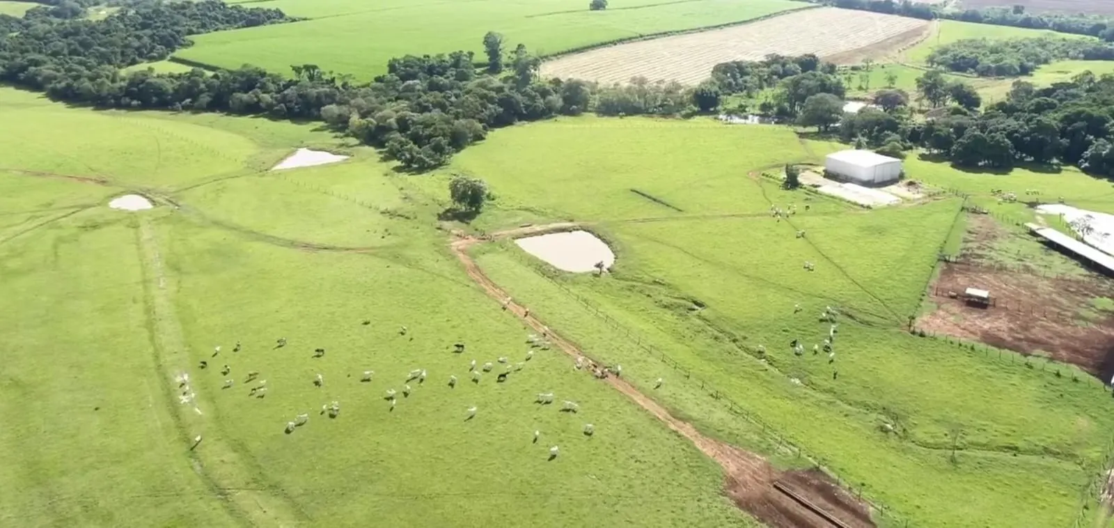 Fazenda à venda de 142 ha em Laranjal Paulista, SP, Brasil