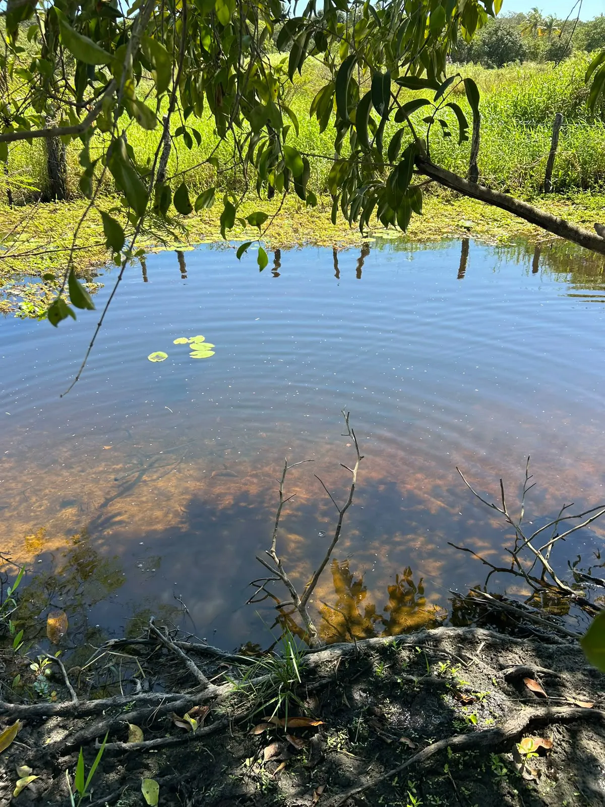 Sítio à venda de 3 ha em Pindoretama, CE, Brasil