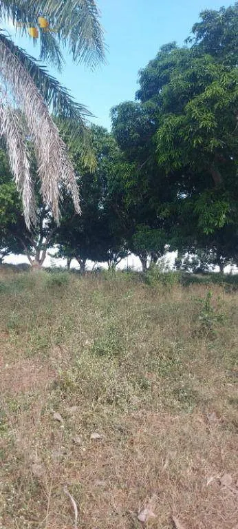 Fazenda à venda de 840 ha em Rosário Oeste, MT, Brasil