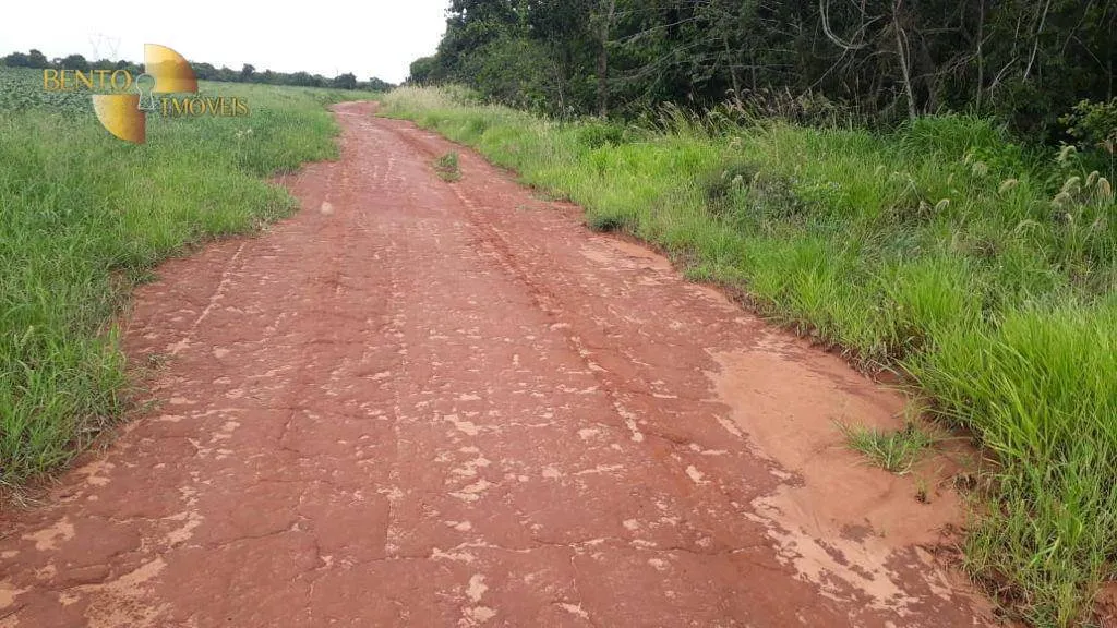 Fazenda à venda de 722 ha em Rondonópolis, MT, Brasil