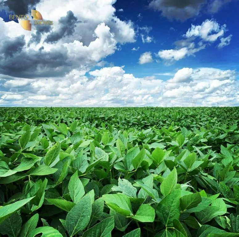 Fazenda à venda de 722 ha em Rondonópolis, MT, Brasil