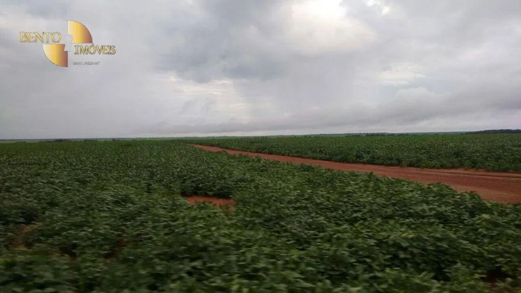 Fazenda à venda de 722 ha em Rondonópolis, MT, Brasil
