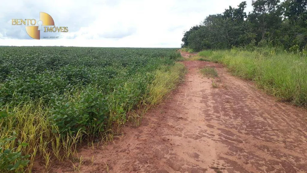 Fazenda à venda de 722 ha em Rondonópolis, MT, Brasil