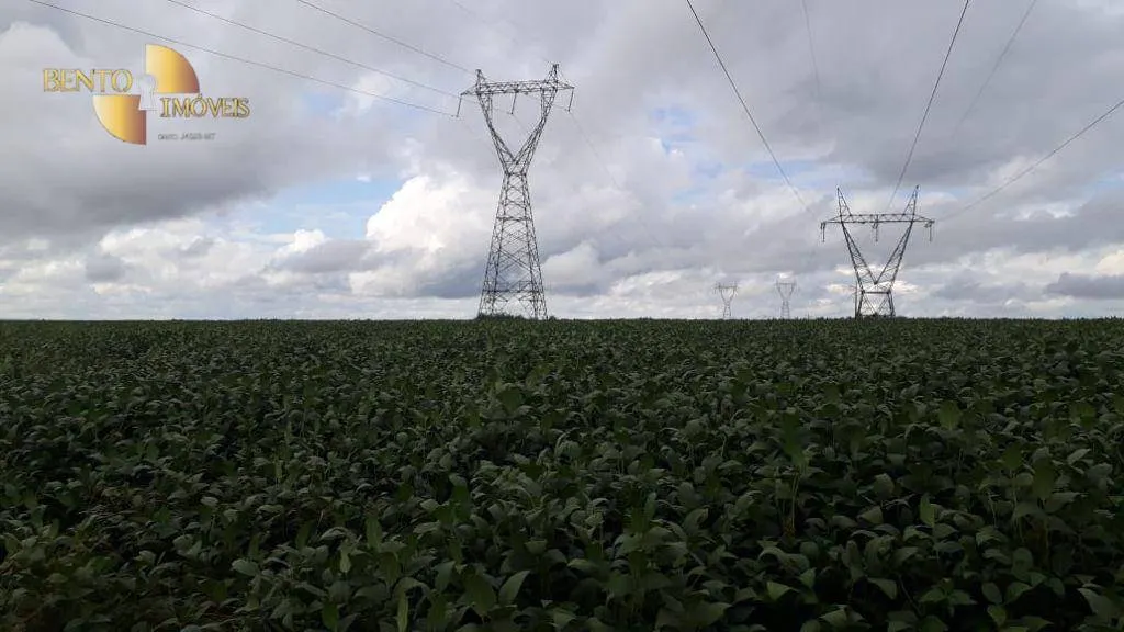 Fazenda à venda de 722 ha em Rondonópolis, MT, Brasil