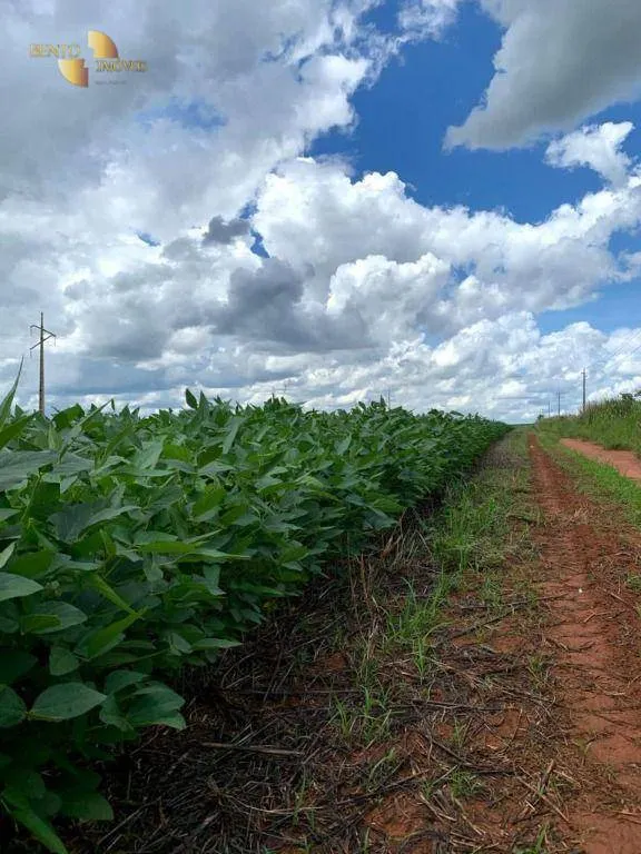 Fazenda à venda de 722 ha em Rondonópolis, MT, Brasil