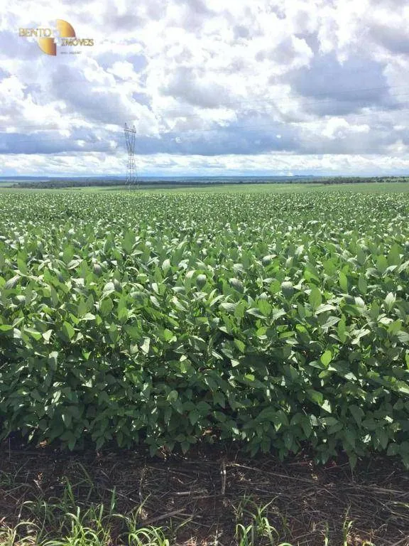 Fazenda à venda de 722 ha em Rondonópolis, MT, Brasil