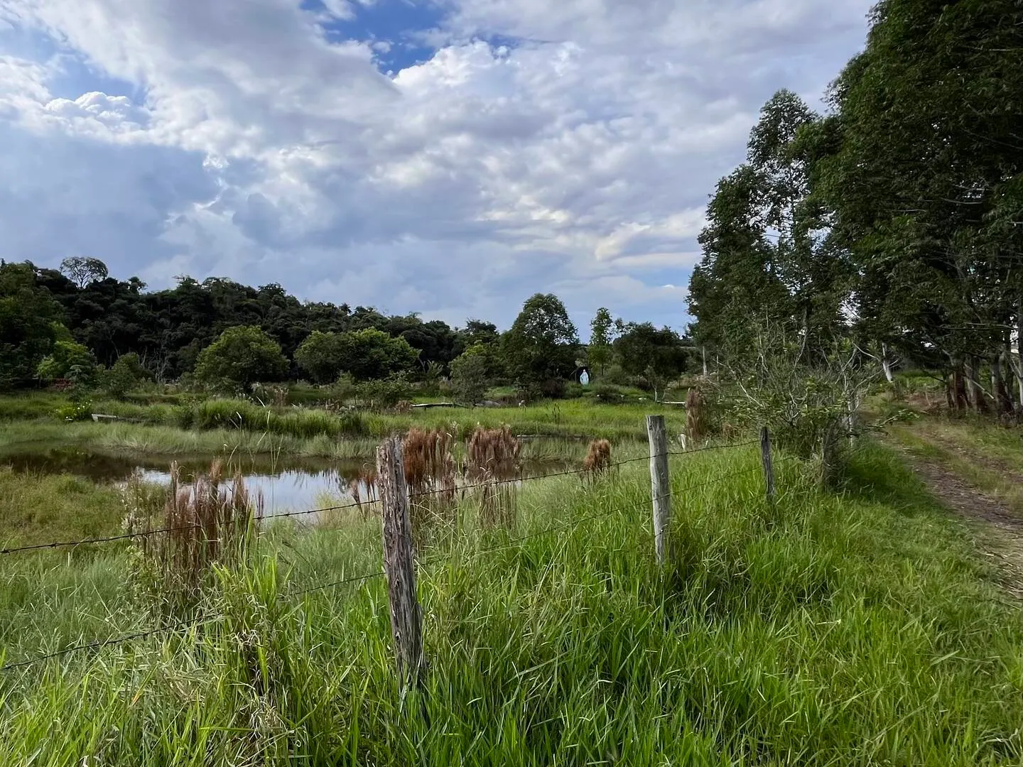 Terreno à venda de 3 ha em Piraju, SP, Brasil
