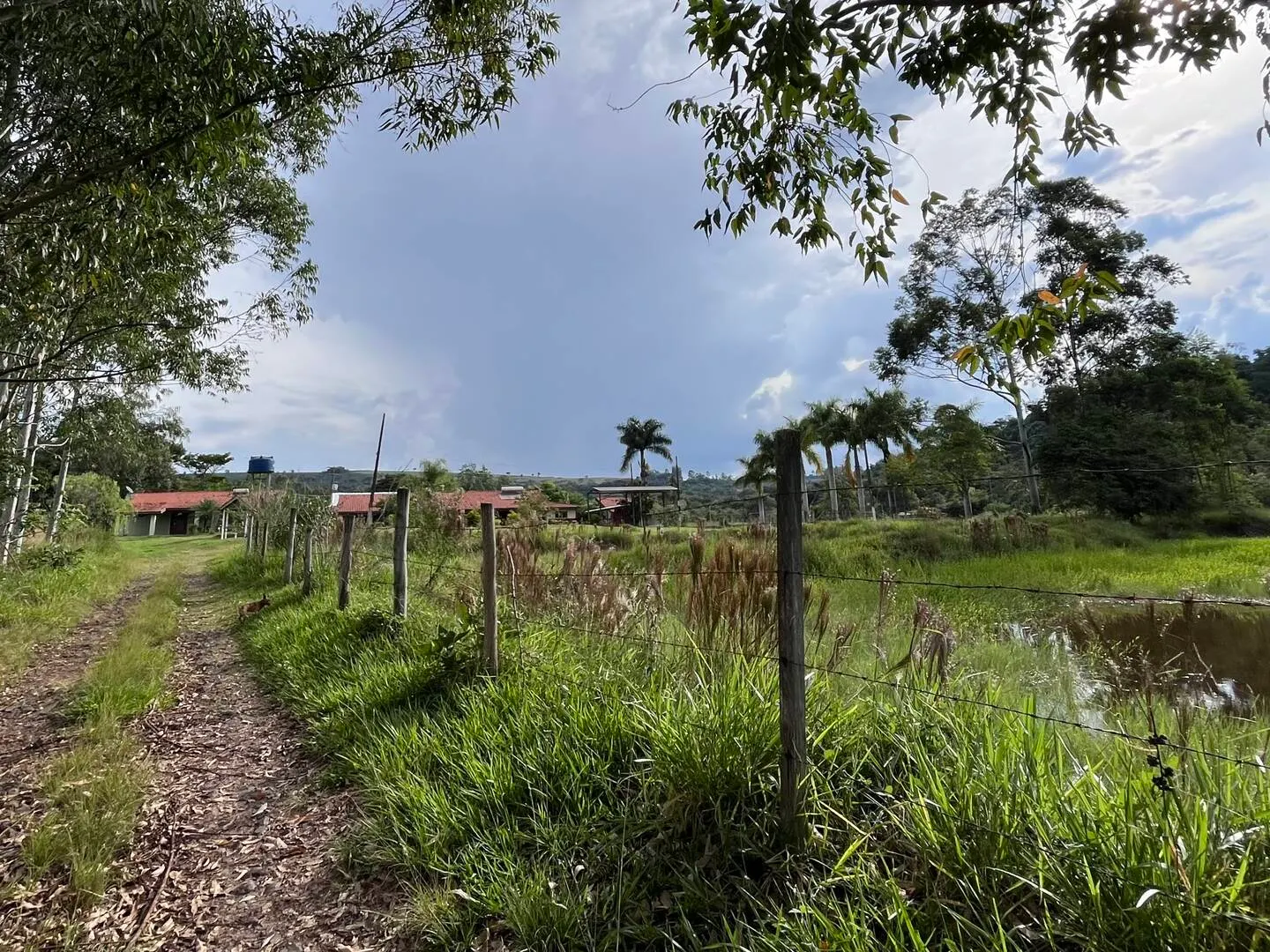 Terreno à venda de 3 ha em Piraju, SP, Brasil