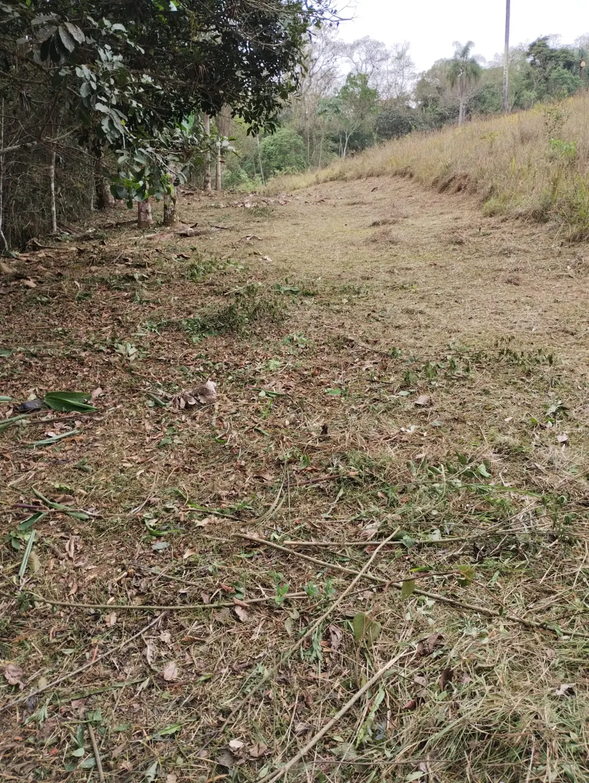 Sítio à venda de 18 ha em Santa Isabel, SP, Brasil