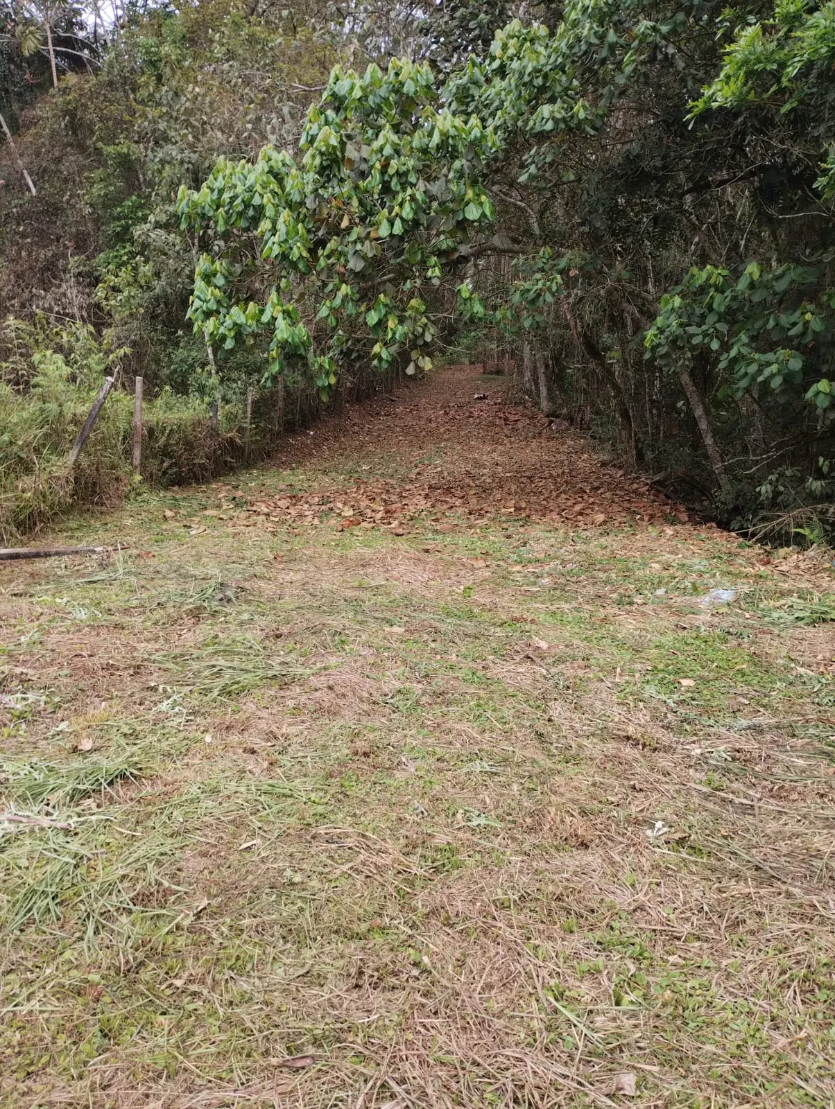 Sítio à venda de 18 ha em Santa Isabel, SP, Brasil