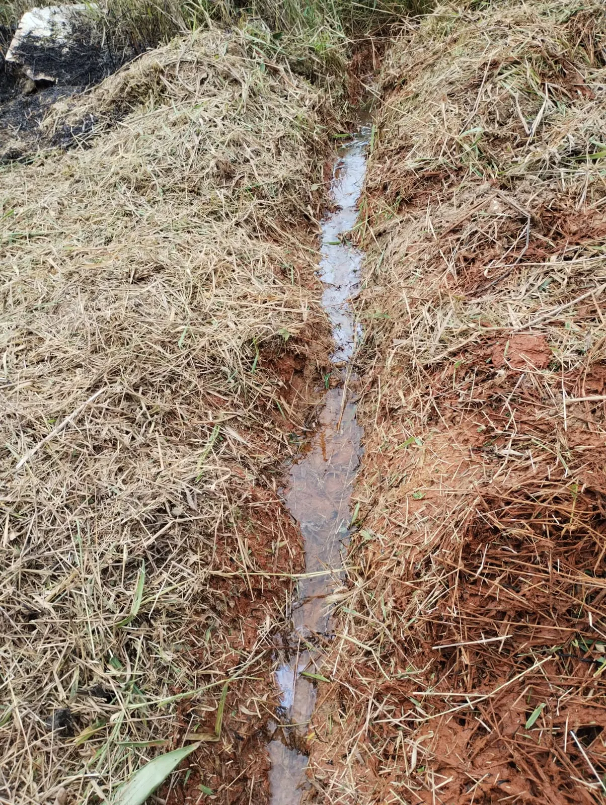 Sítio à venda de 18 ha em Santa Isabel, SP, Brasil