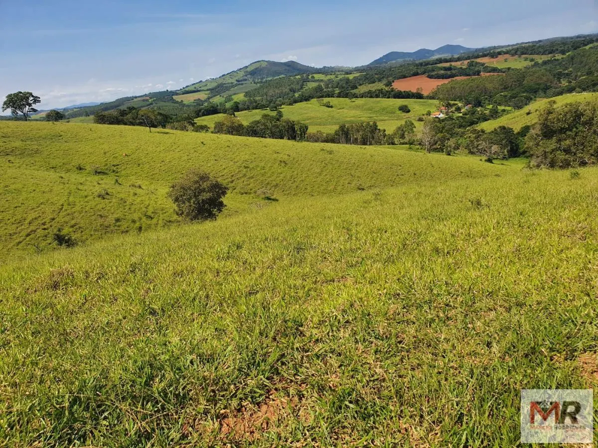 Fazenda à venda de 242 ha em Cruzília, MG, Brasil