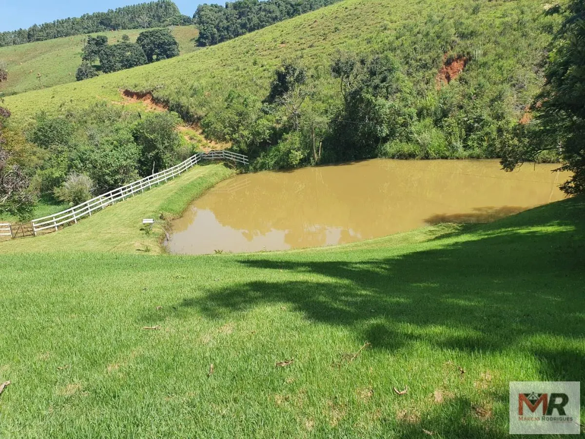 Fazenda à venda de 242 ha em Cruzília, MG, Brasil