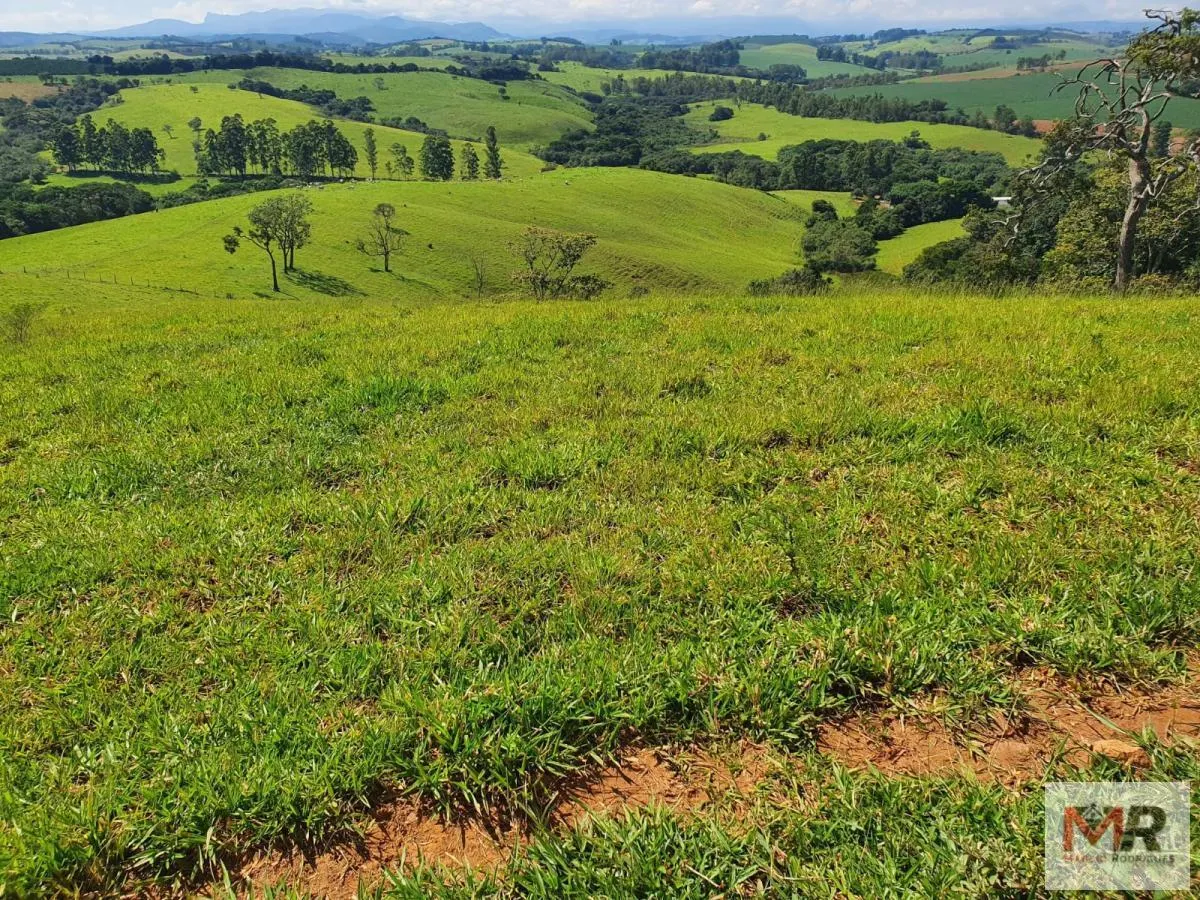 Fazenda à venda de 242 ha em Cruzília, MG, Brasil
