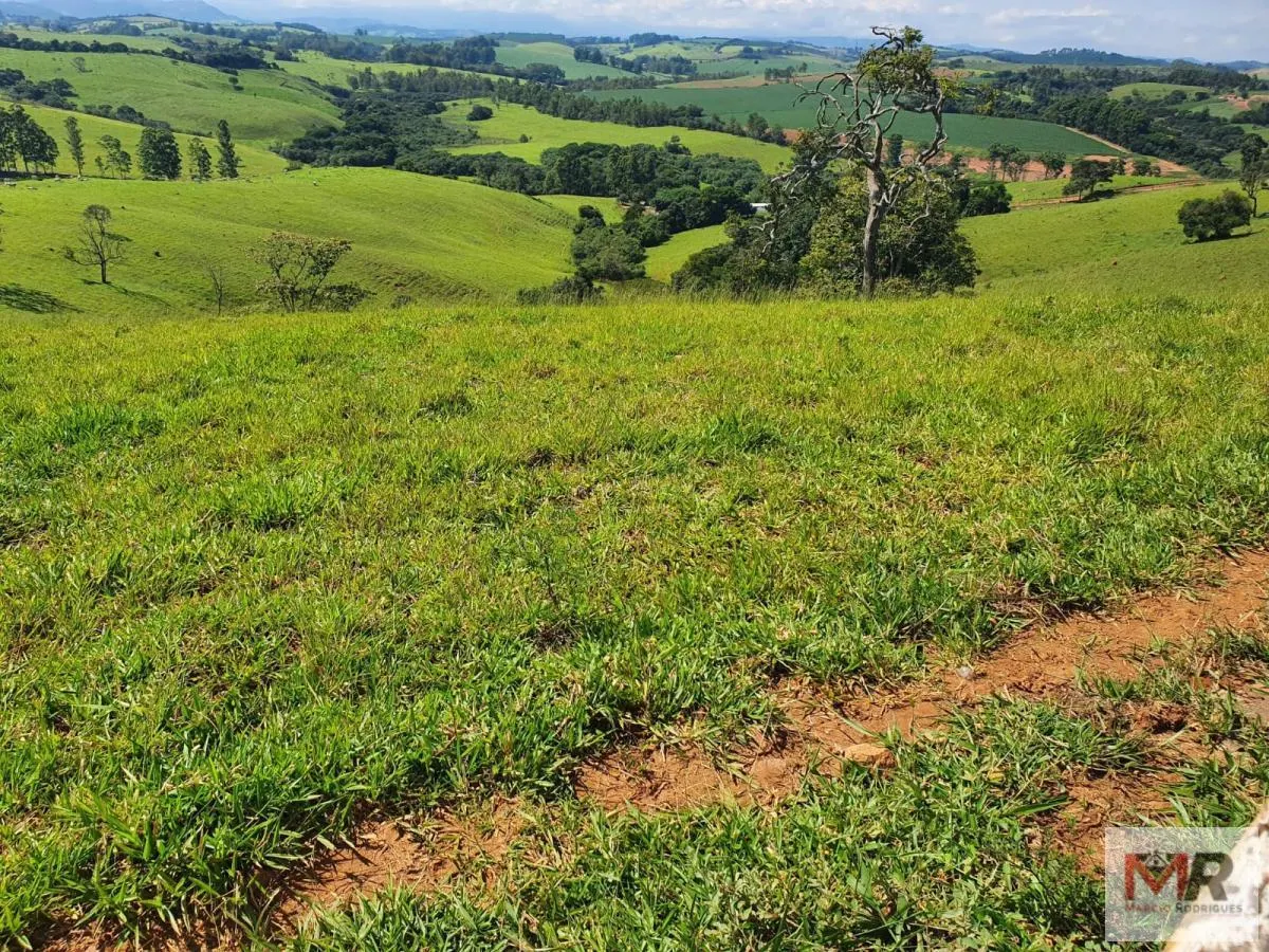 Fazenda à venda de 242 ha em Cruzília, MG, Brasil
