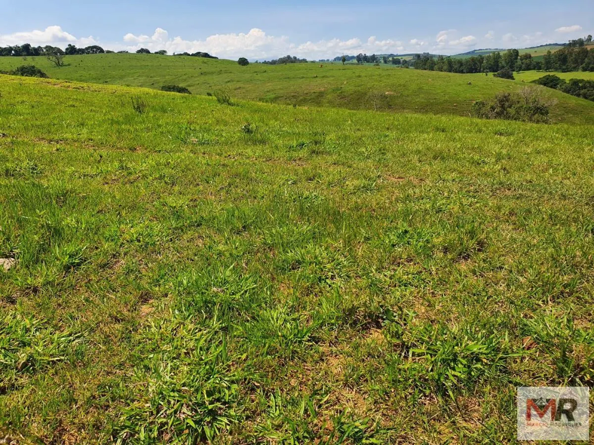 Fazenda à venda de 242 ha em Cruzília, MG, Brasil