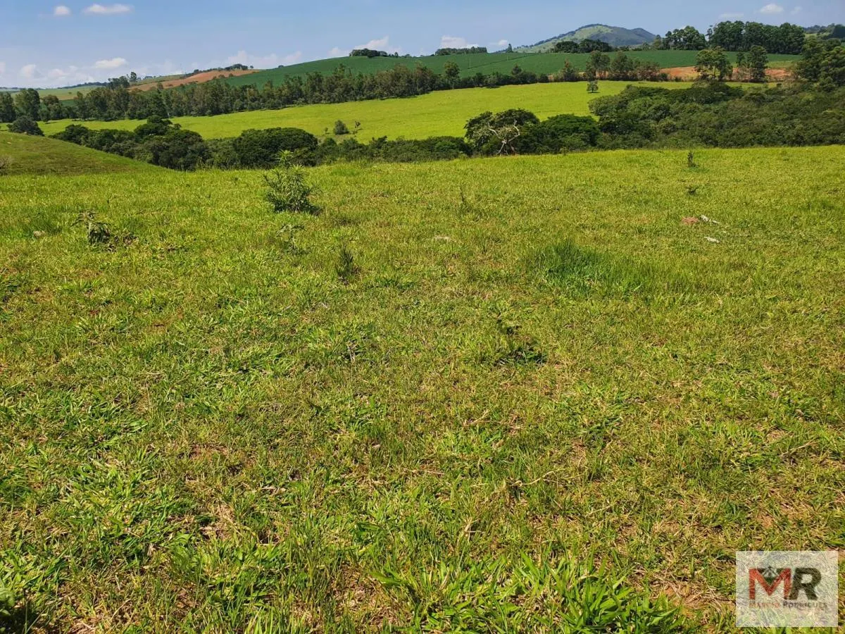 Fazenda à venda de 242 ha em Cruzília, MG, Brasil