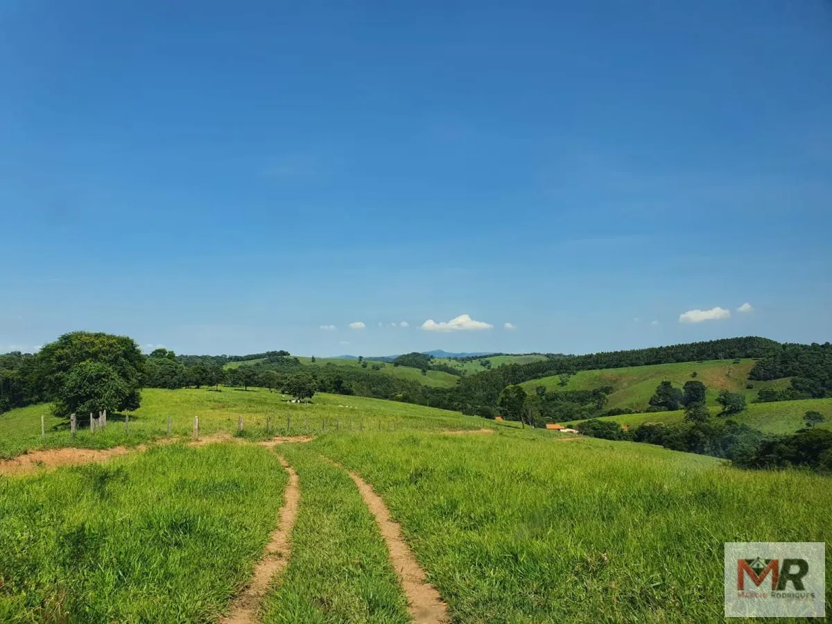 Fazenda à venda de 242 ha em Cruzília, MG, Brasil