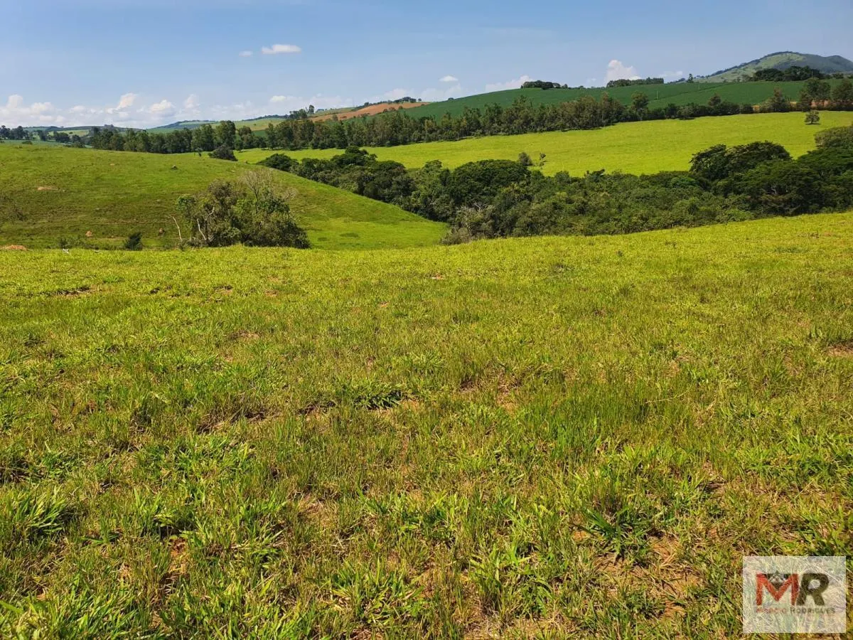 Fazenda à venda de 242 ha em Cruzília, MG, Brasil