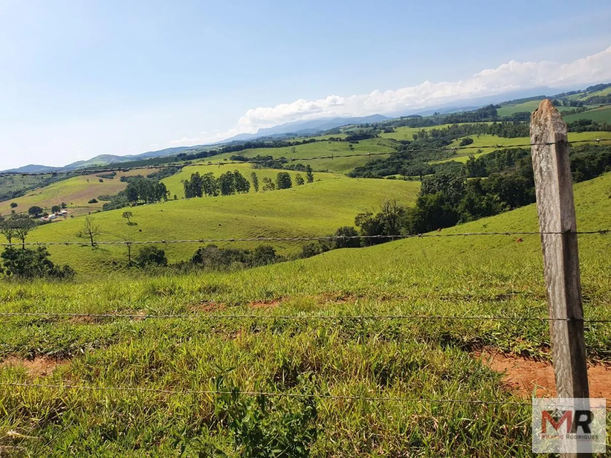 Fazenda à venda de 242 ha em Cruzília, MG, Brasil