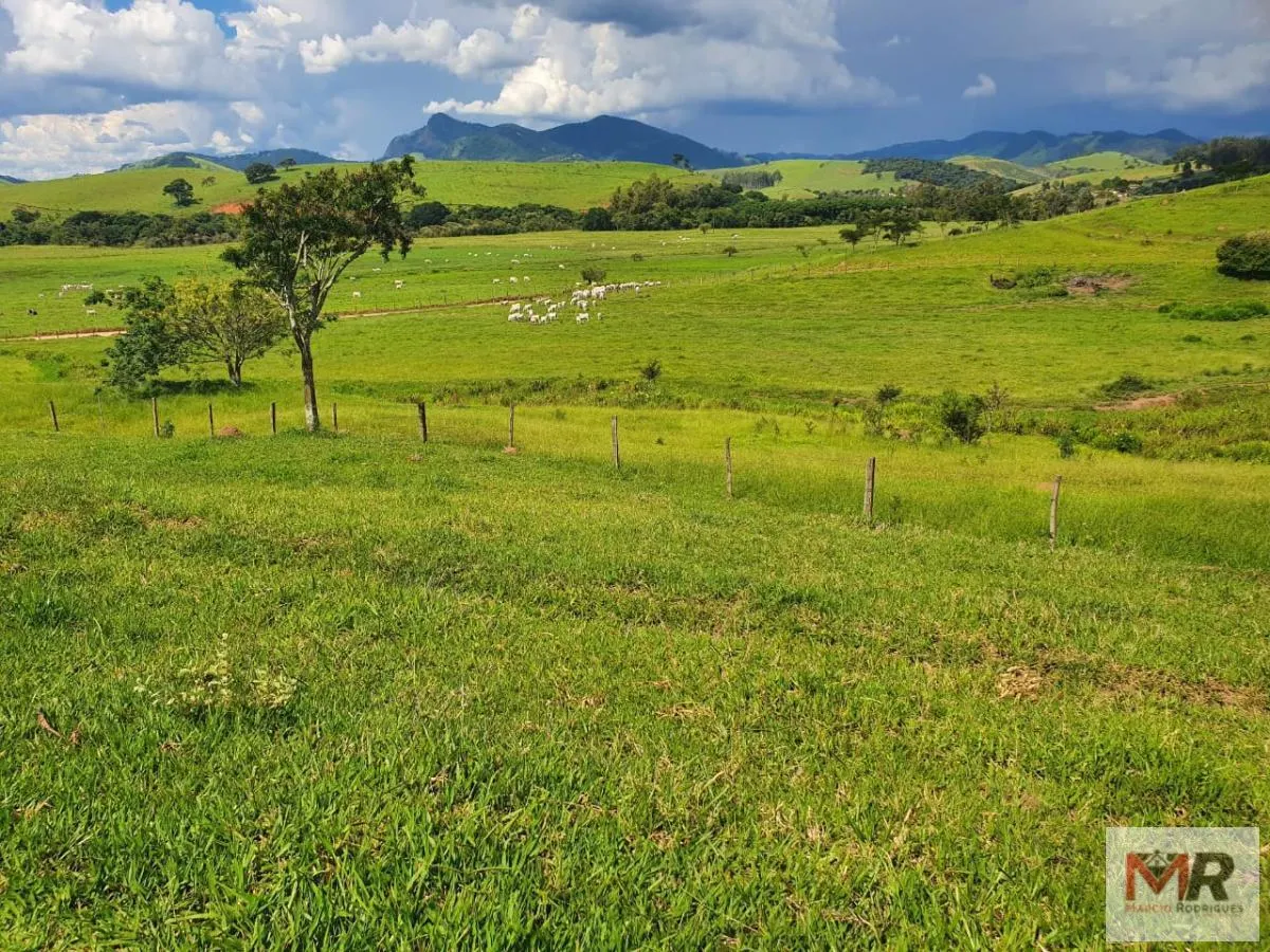 Fazenda à venda de 242 ha em Cruzília, MG, Brasil