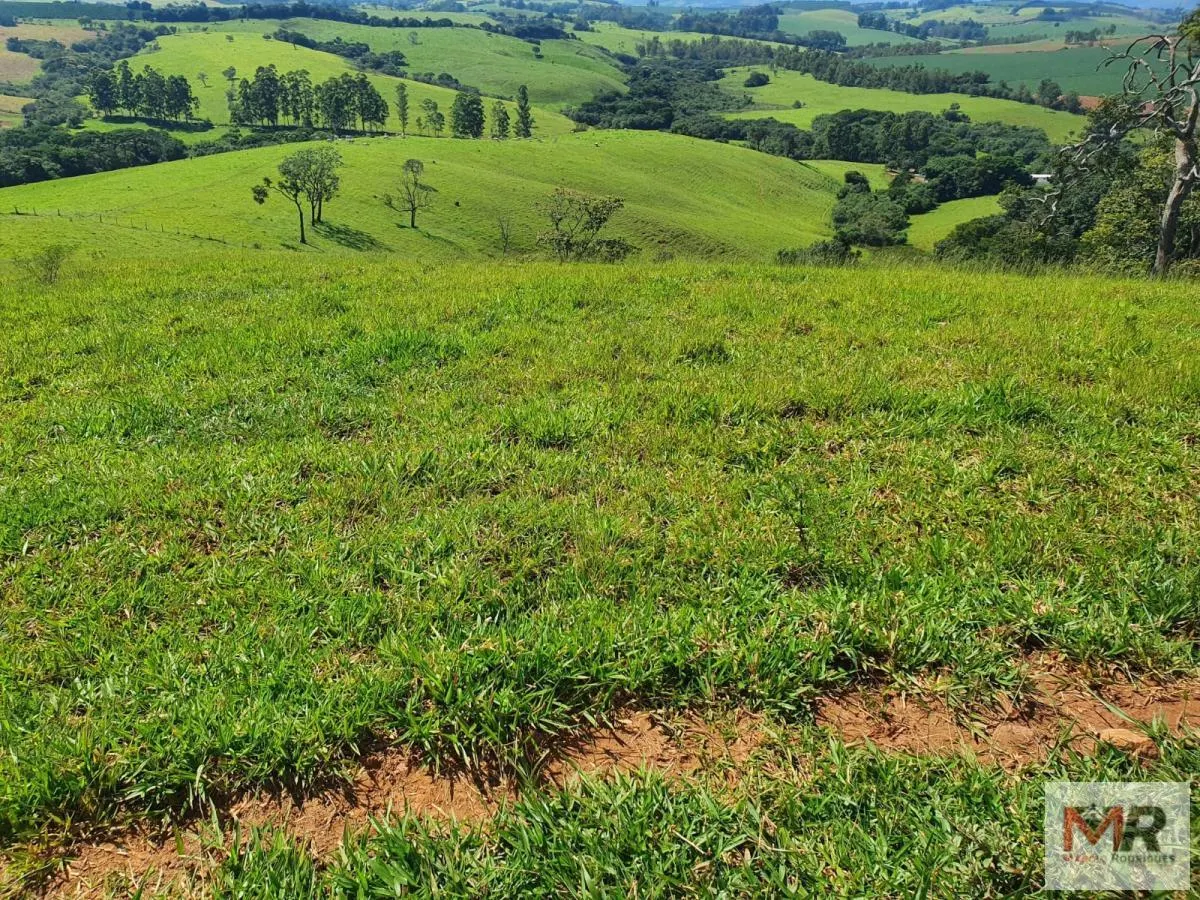 Fazenda à venda de 242 ha em Cruzília, MG, Brasil