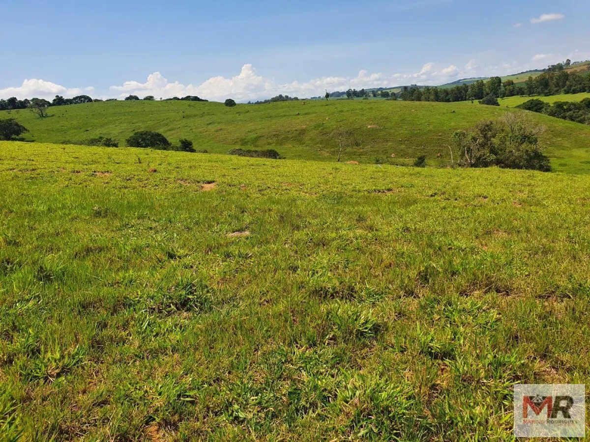 Fazenda à venda de 242 ha em Cruzília, MG, Brasil