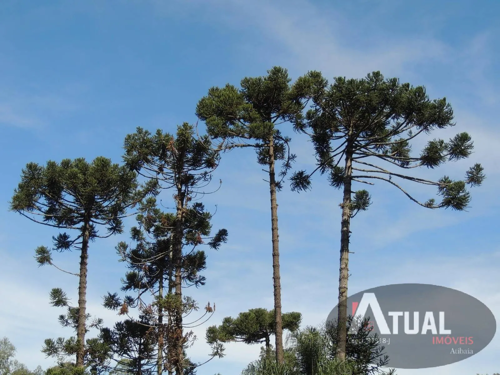 Country home for sale of 200 m² in Nazaré Paulista, SP, Brazil