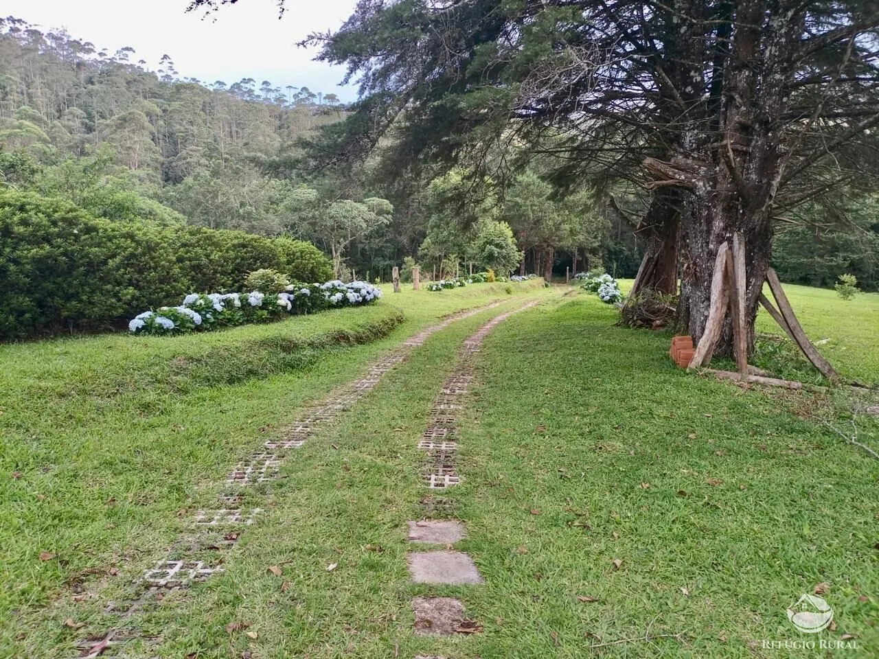 Fazenda à venda de 203 ha em Joanópolis, SP, Brasil